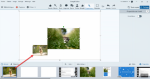 Comment Fusionner Deux Images Facilement ? | Techsmith