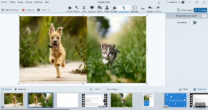 Comment Fusionner Deux Images Facilement ? | Techsmith